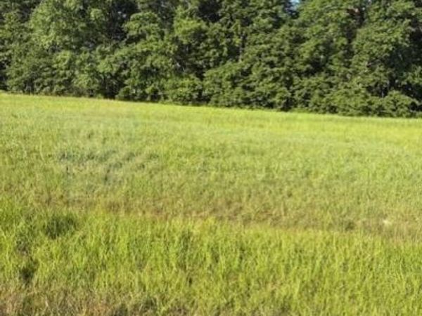 0 Custer Road, Jackson Twp, OH 45171