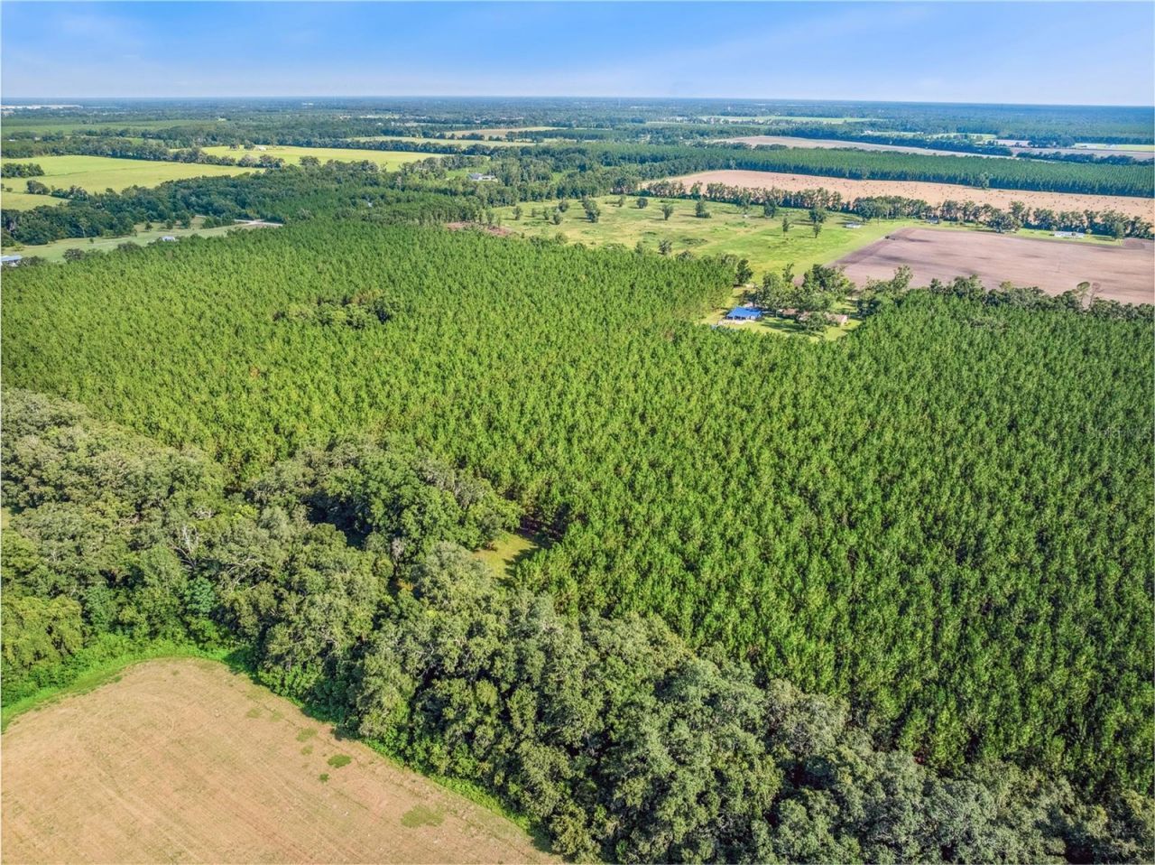 1550 NW 167 Place, Trenton, FL 32693 Photo