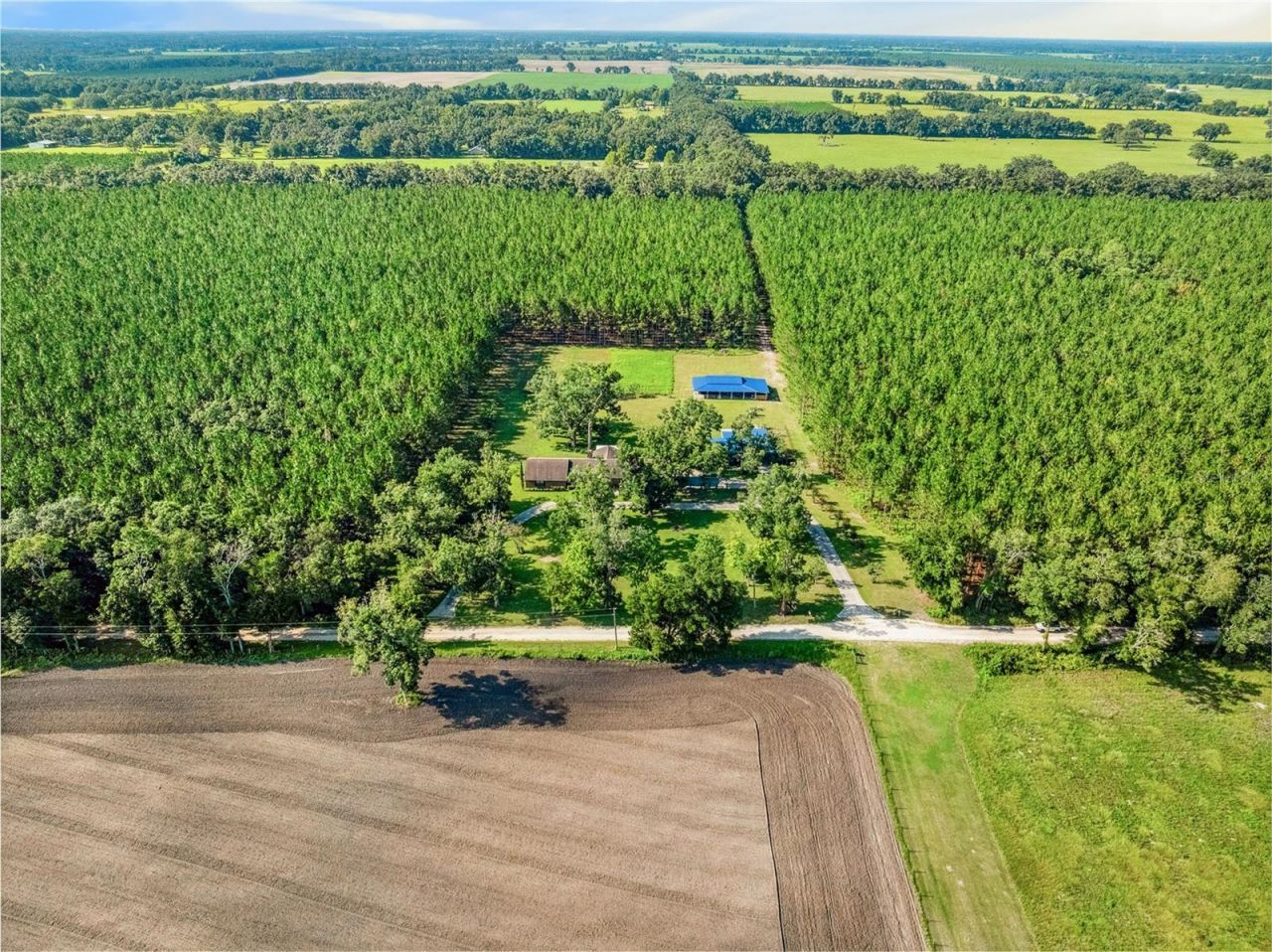 1550 NW 167 Place, Trenton, FL 32693 Photo