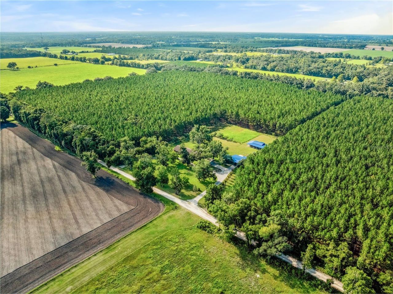 1550 NW 167 Place, Trenton, FL 32693 Photo