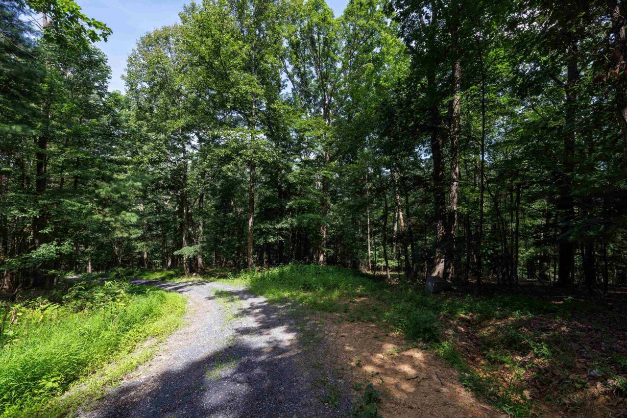 Tbd Brunk Spring Ln, Broadway, VA 22815 Main Photo