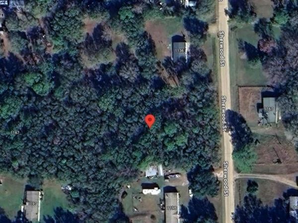 1166 SHERWOOD STREET, BUNNELL, FL 32110