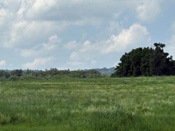 LOT 1 STATION ROAD, GRANTVILLE, PA 17028