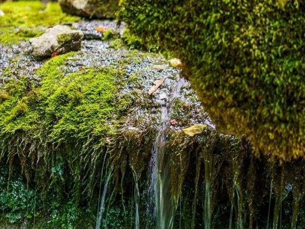 0 Burks Hollow Rd, Christiana, TN 37037