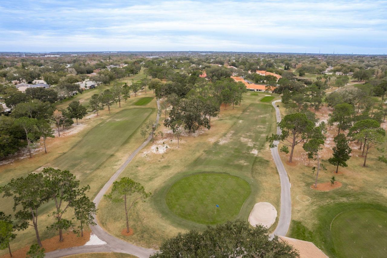 2738 Sherbrooke Lane, Unit C, Palm Harbor, FL 34684 Photo