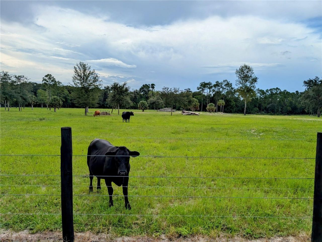 Peterson Road, Pierson, FL 32180 Photo