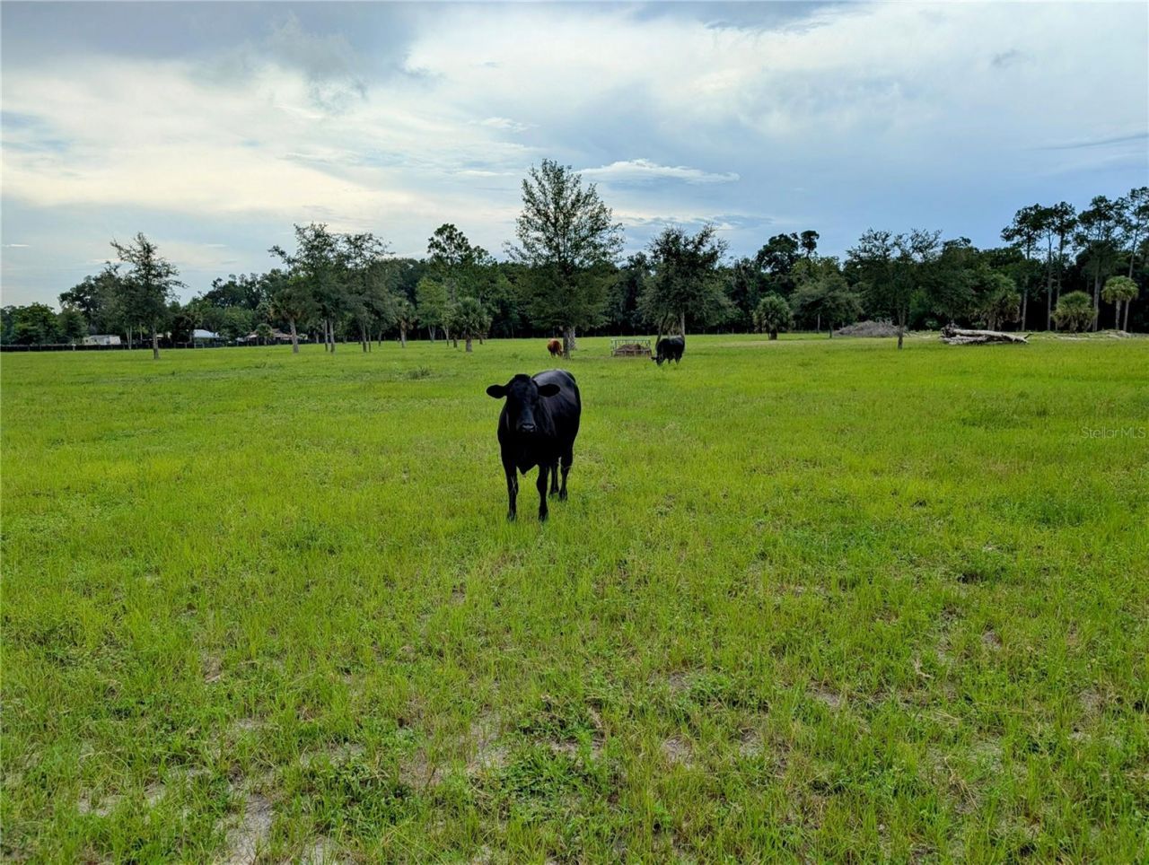 Peterson Road, Pierson, FL 32180 Photo