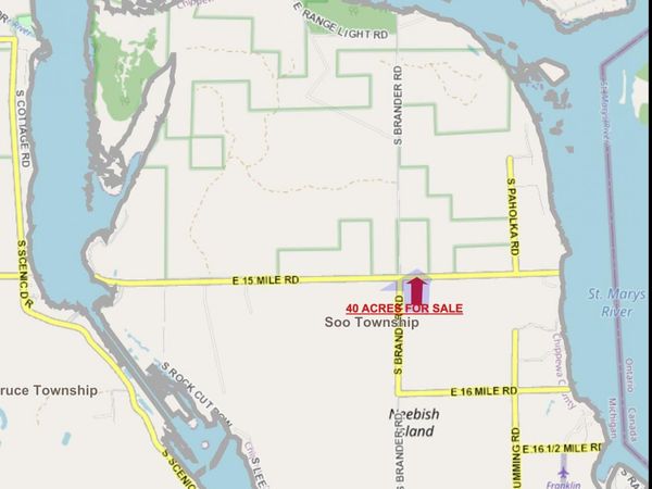 E 15 Mile Road, Barbeau, MI 49710