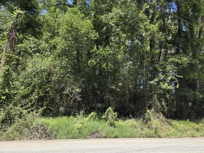 Lot 6 Hill Branch Road, Ridgeville, SC 29472