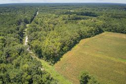 Lot 6 Hill Branch Road photo 4