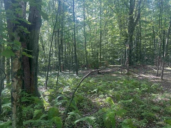 0 Helvi Hill, Mendon, VT 05701