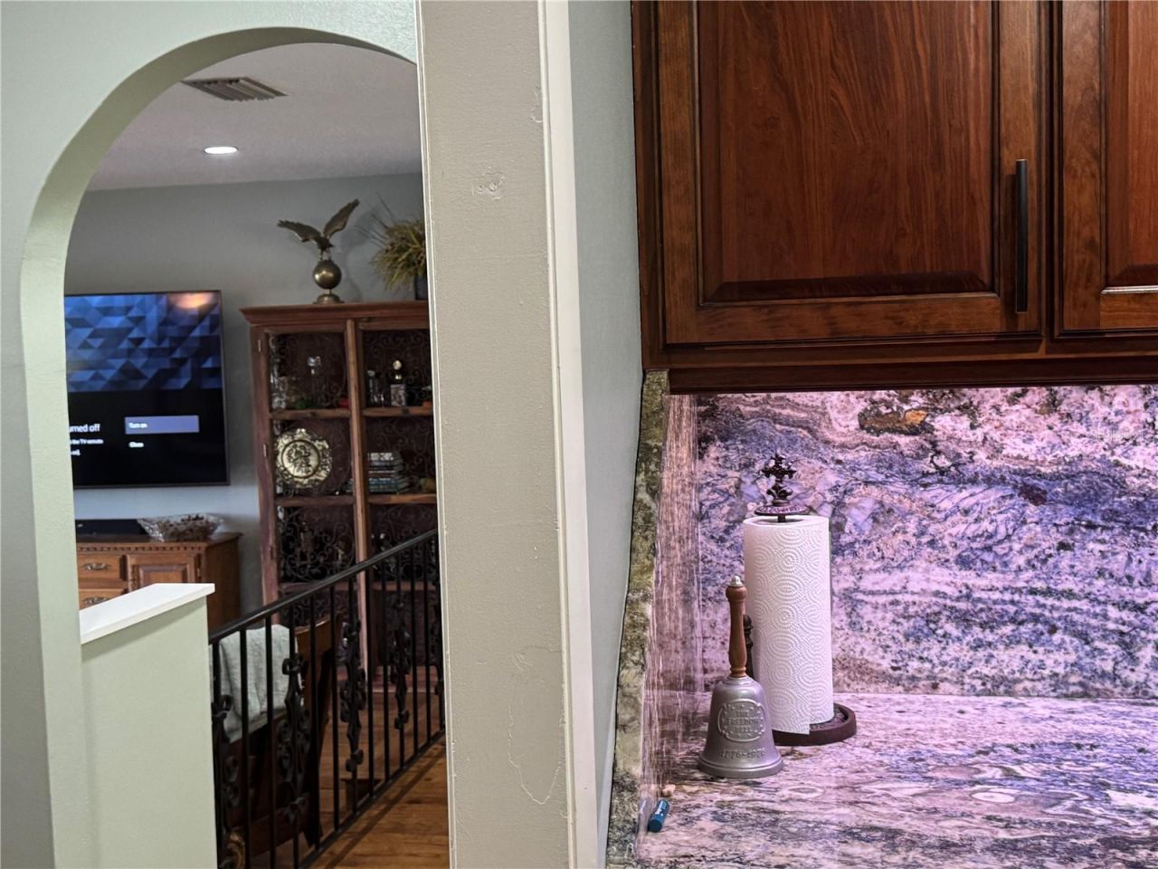 3545 Lake Padgett Drive, Land O Lakes, FL 34639 Photo
