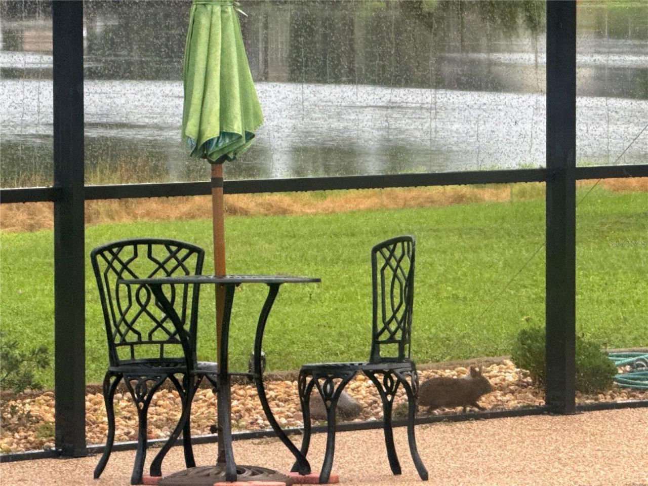 3545 Lake Padgett Drive, Land O Lakes, FL 34639 Photo