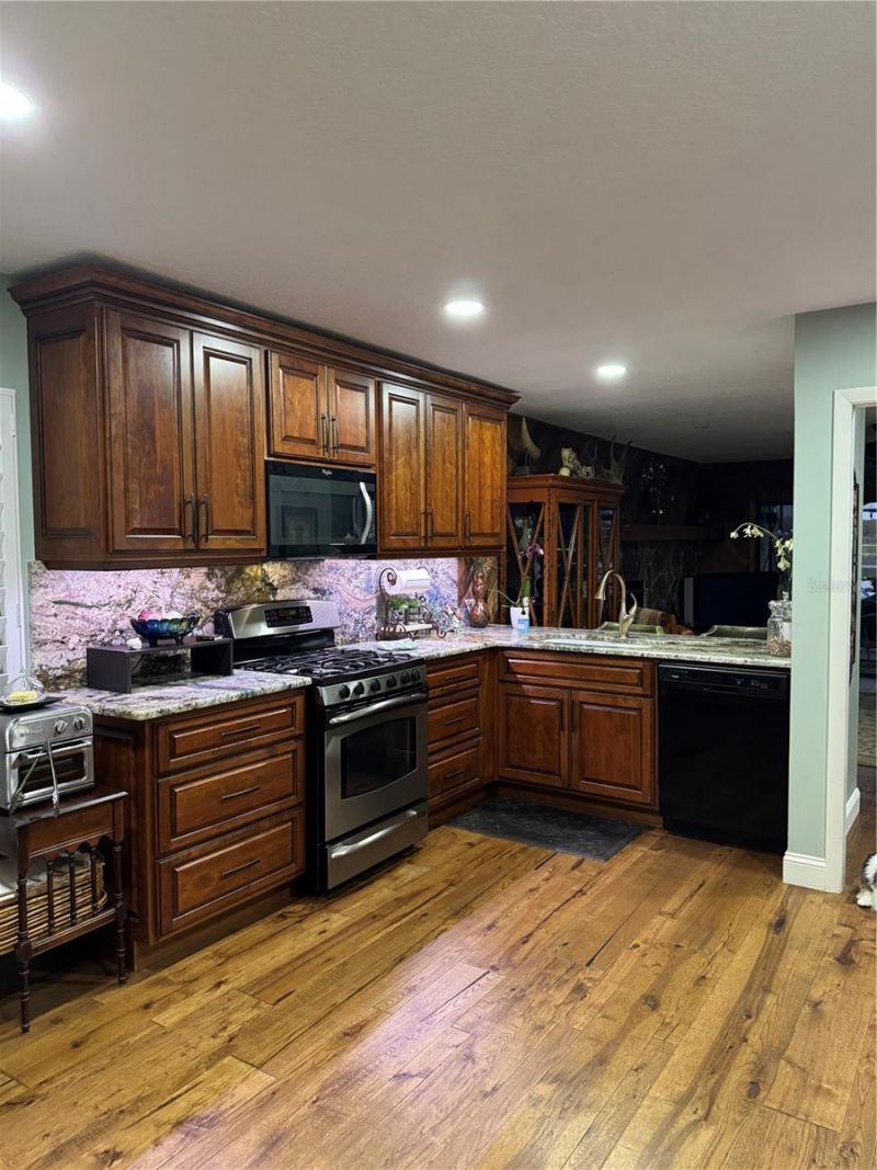 3545 Lake Padgett Drive, Land O Lakes, FL 34639 Photo