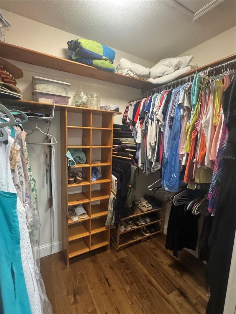 3545 Lake Padgett Drive, Land O Lakes, FL 34639 Photo