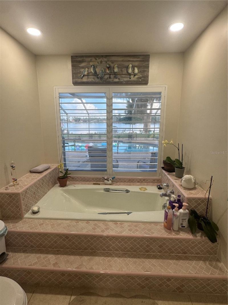 3545 Lake Padgett Drive, Land O Lakes, FL 34639 Photo