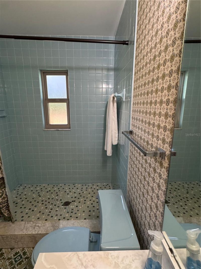 3545 Lake Padgett Drive, Land O Lakes, FL 34639 Photo