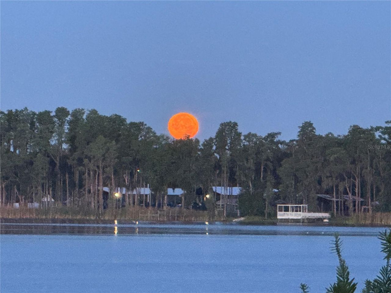 3545 Lake Padgett Drive, Land O Lakes, FL 34639 Photo