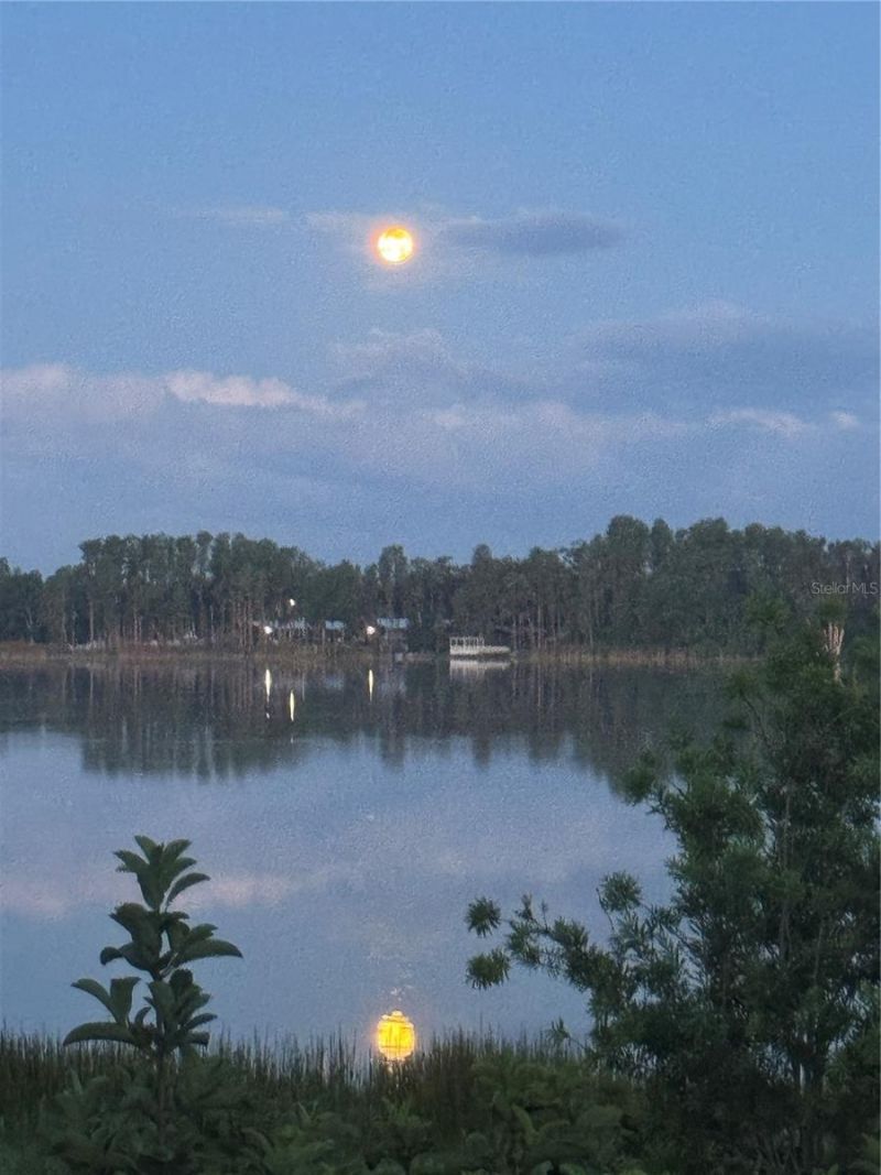 3545 Lake Padgett Drive, Land O Lakes, FL 34639 Photo