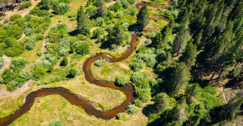 1339 Meadow Crest Drive, South Lake Tahoe, CA 96150 Photo