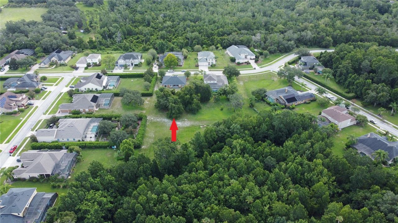 754 Grey Heron Place, Chuluota, FL 32766 Photo