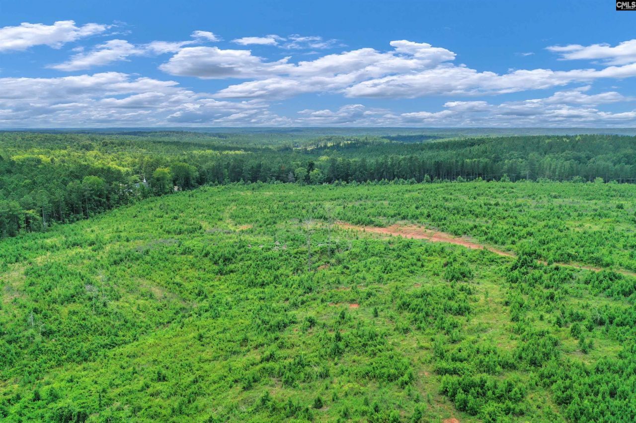 0000 Hwy 215 Photo 9