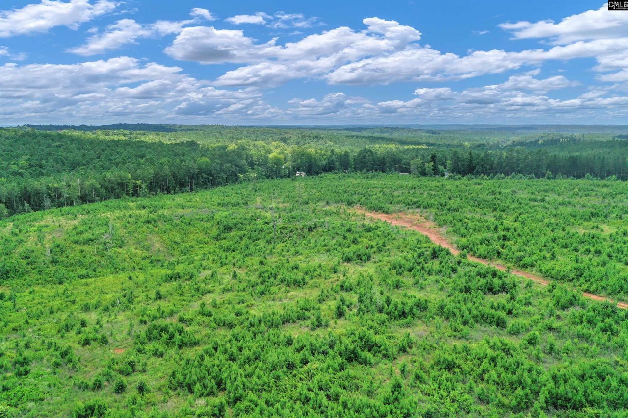 0000 Hwy 215 Photo 10