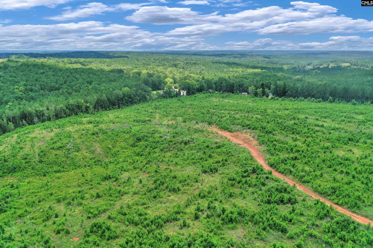 0000 Hwy 215 Photo 11