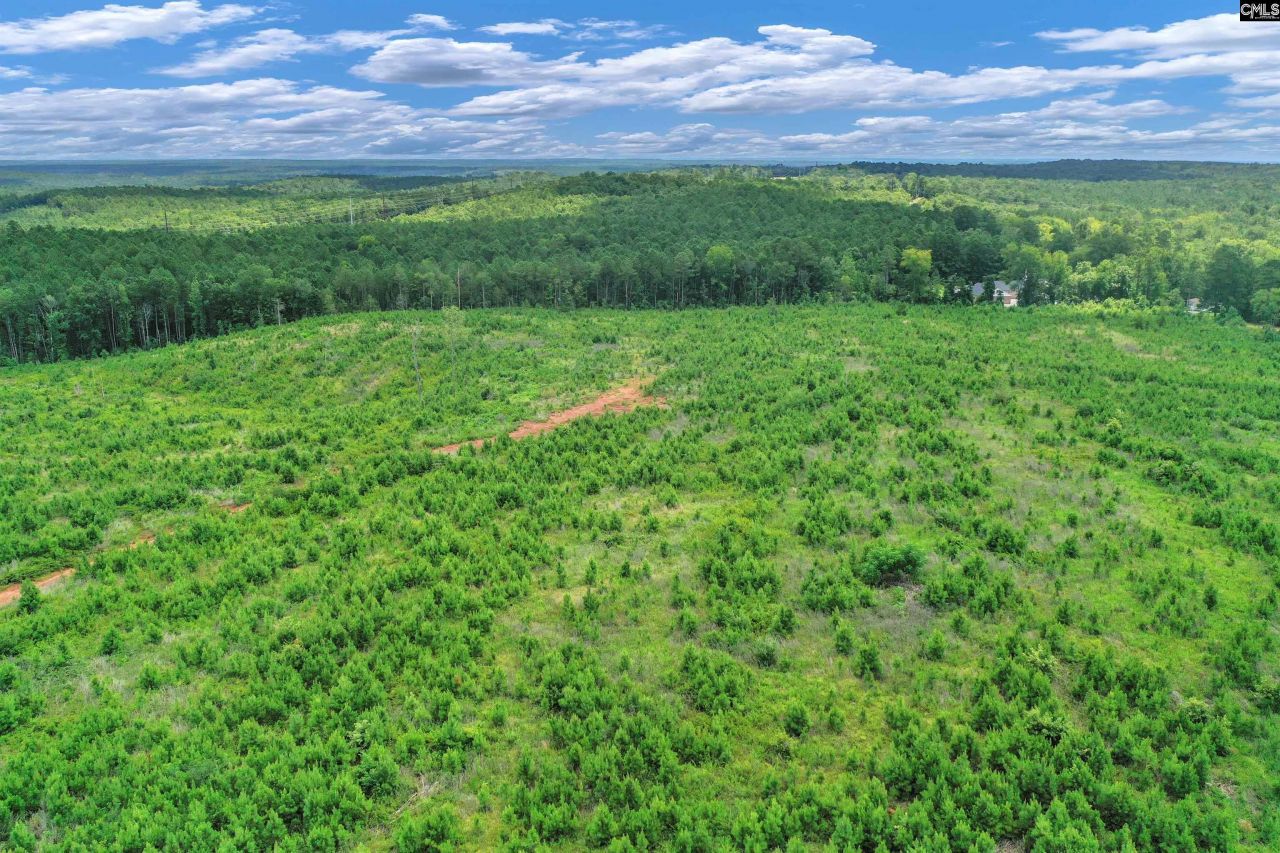 0000 Hwy 215 Photo 13