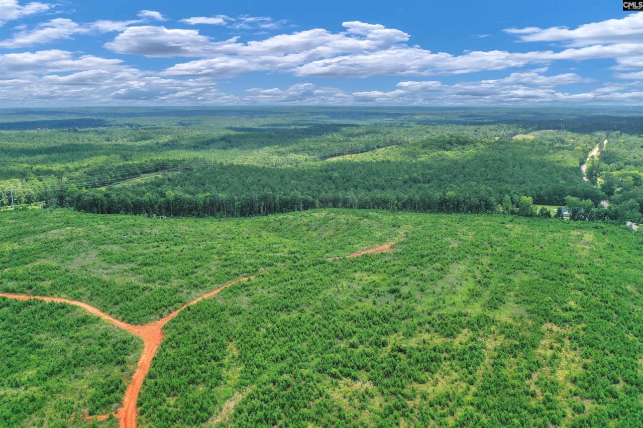 0000 Hwy 215 Photo 18