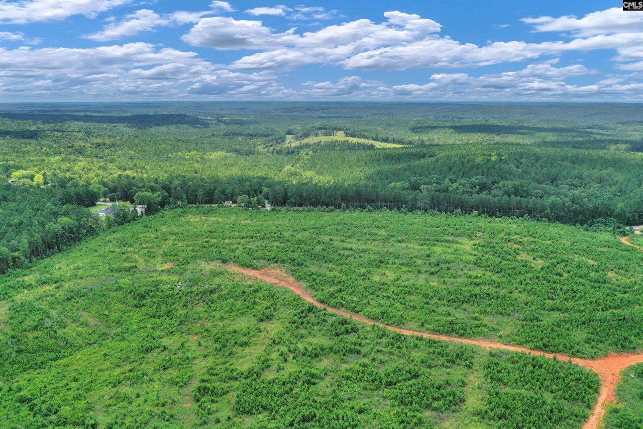 0000 Hwy 215 Photo 20