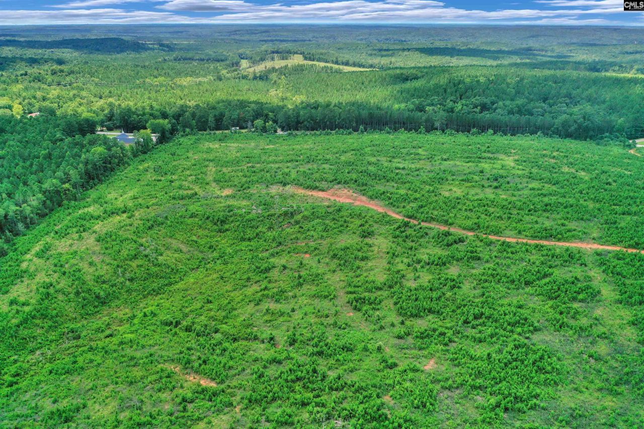 0000 Hwy 215 Photo 21