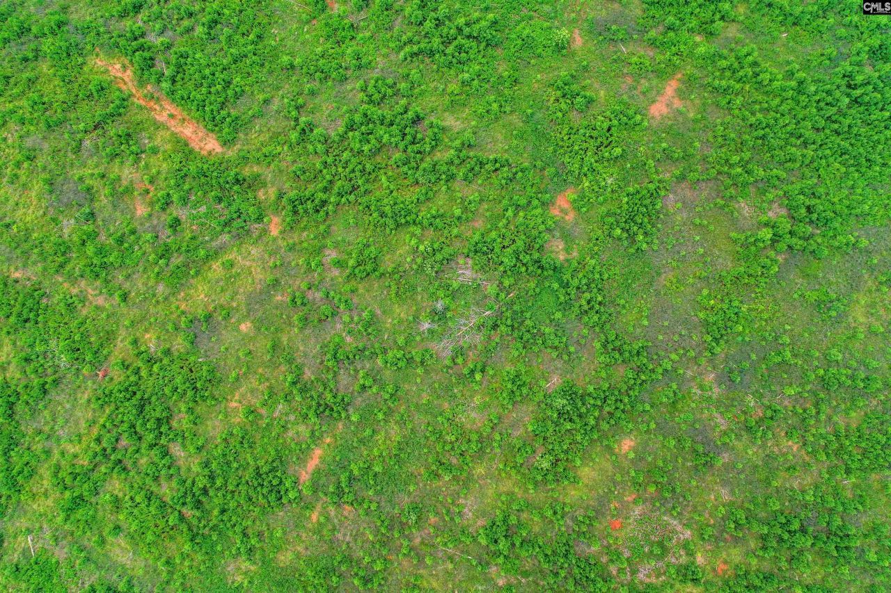 0000 Hwy 215 Photo 22