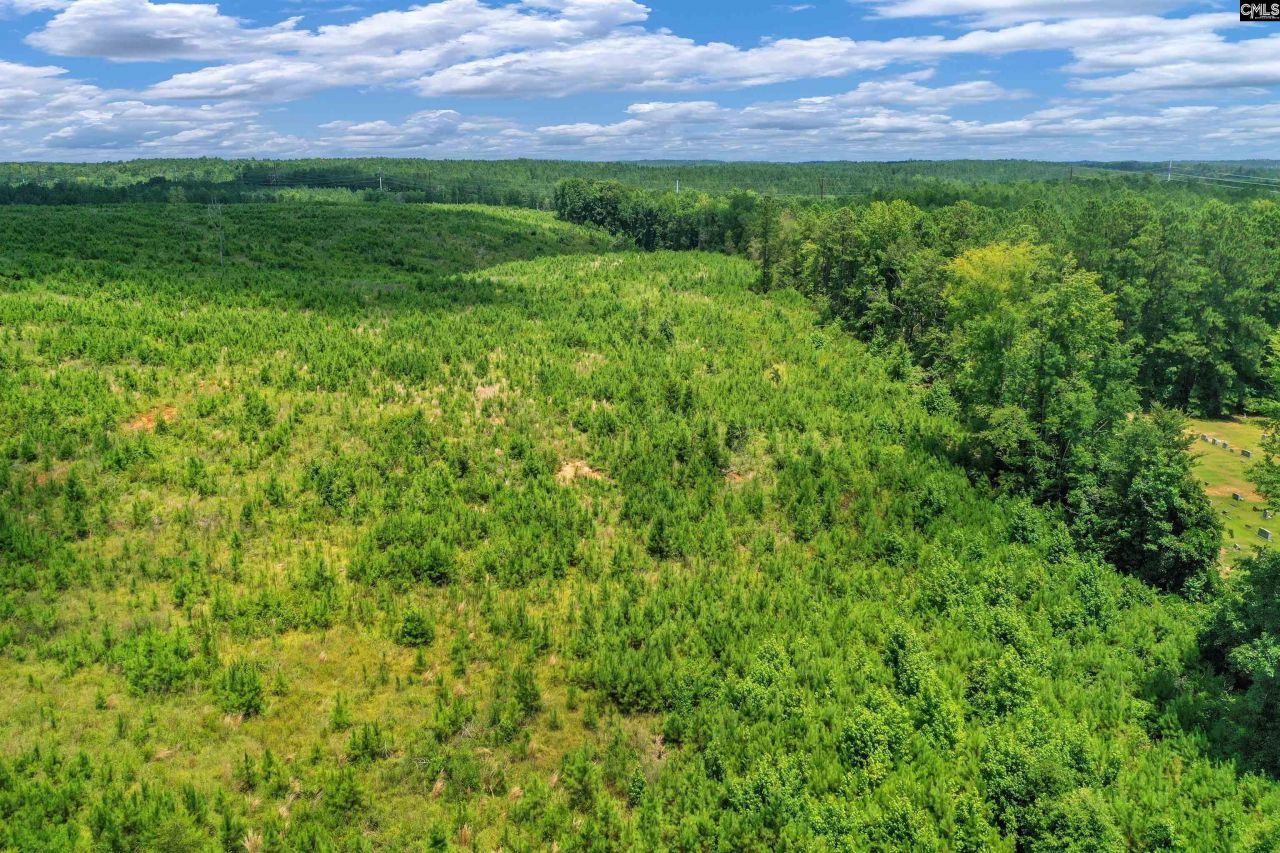 0000 Hwy 215 Photo 27