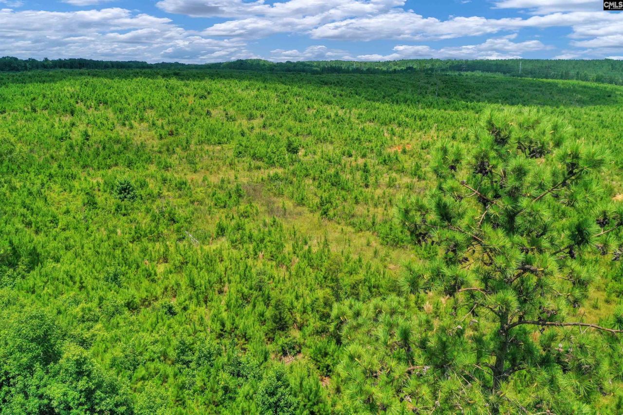 0000 Hwy 215 Photo 28