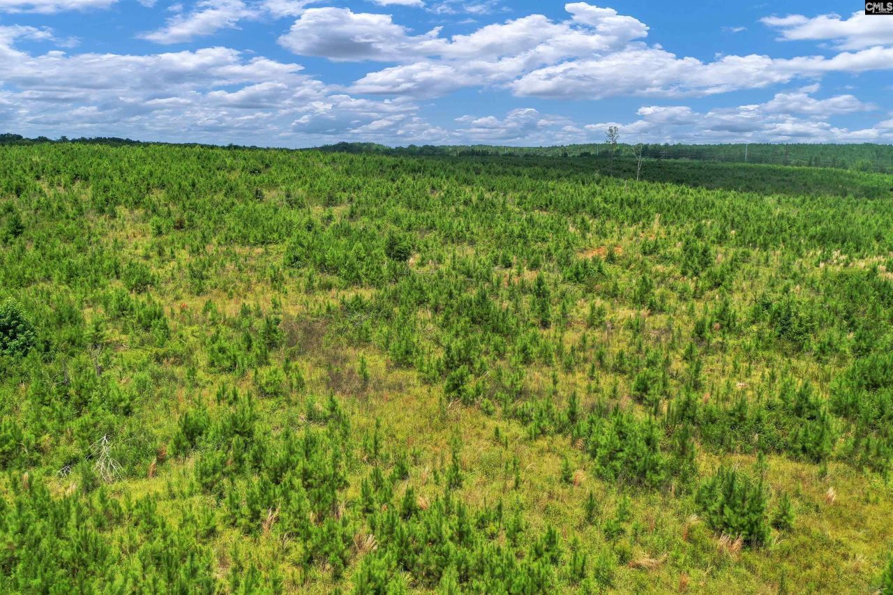 0000 Hwy 215 Photo 29