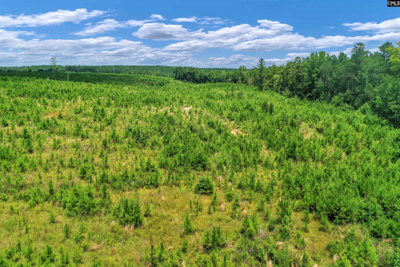 0000 Hwy 215 Photo 30