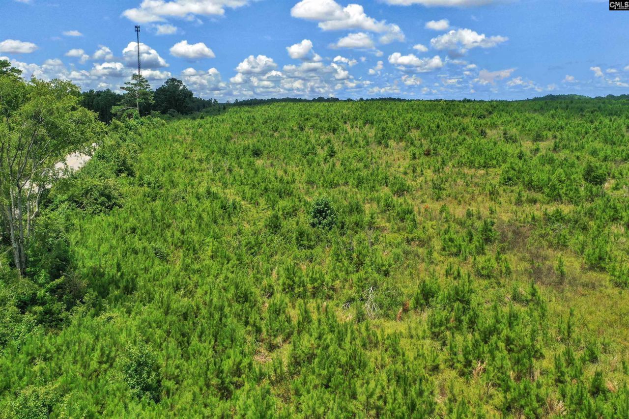 0000 Hwy 215 Photo 31