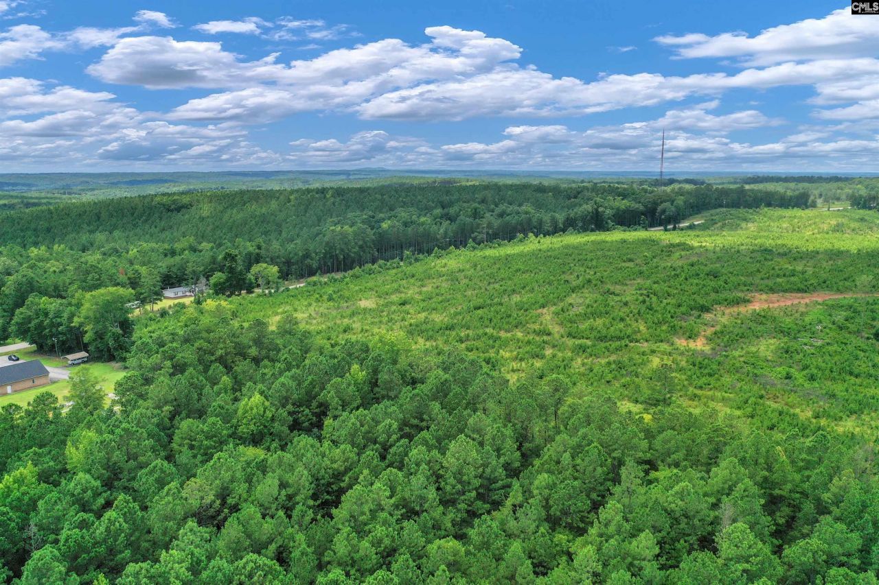 0000 Hwy 215 Photo 6