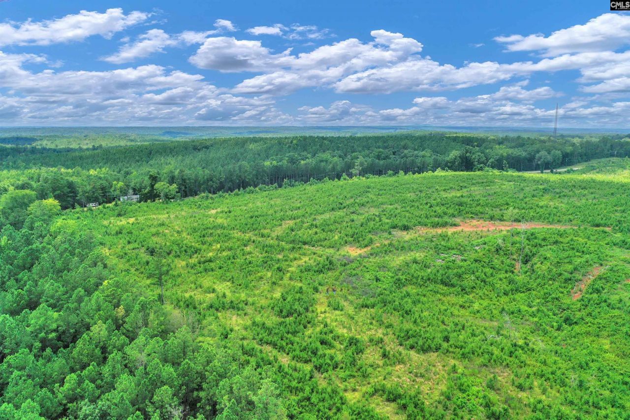 0000 Hwy 215 Photo 7