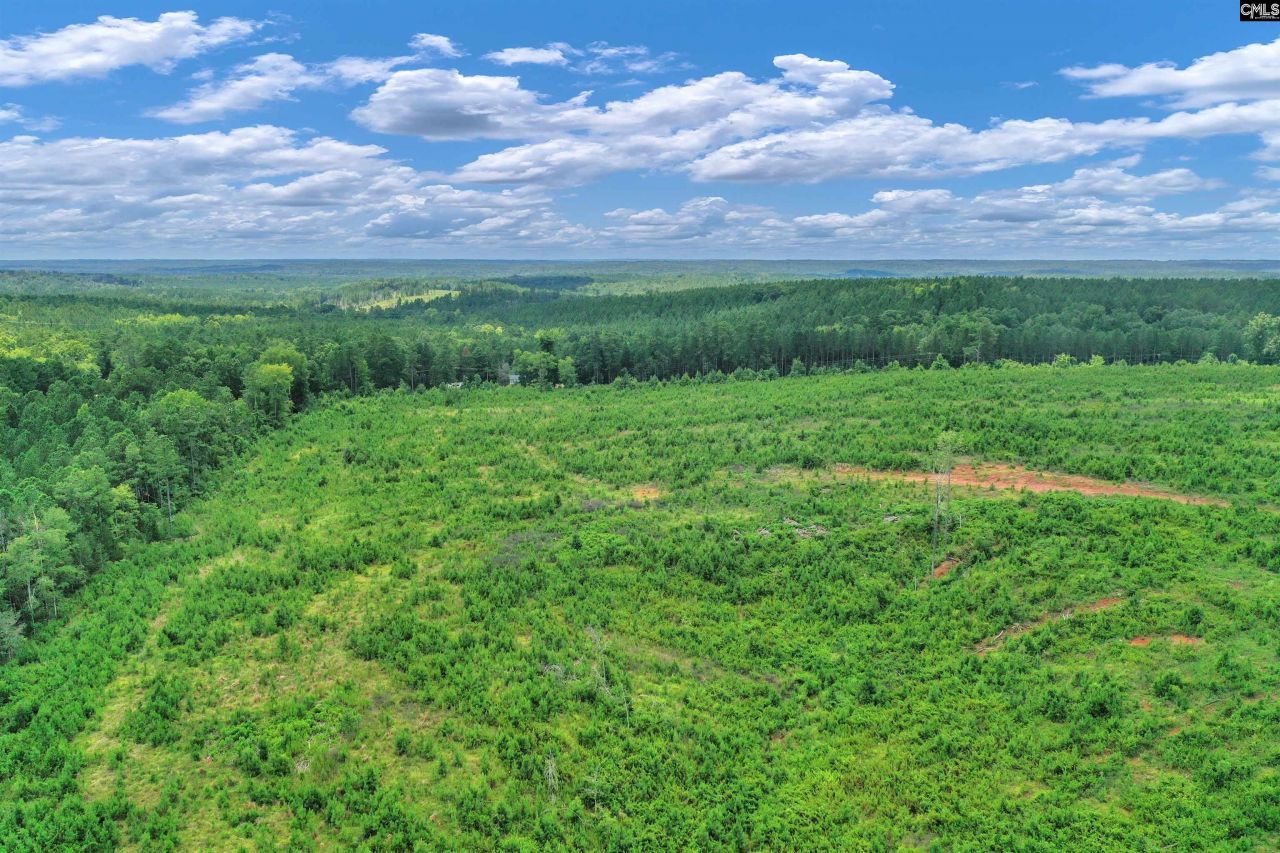 0000 Hwy 215 Photo 8