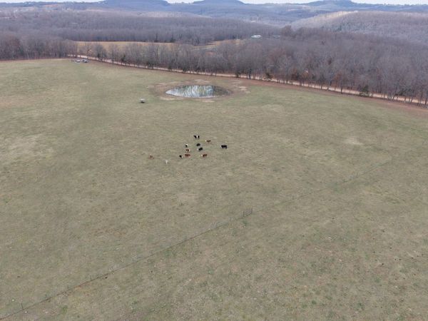 000 Hall Road, Macomb, MO 65702