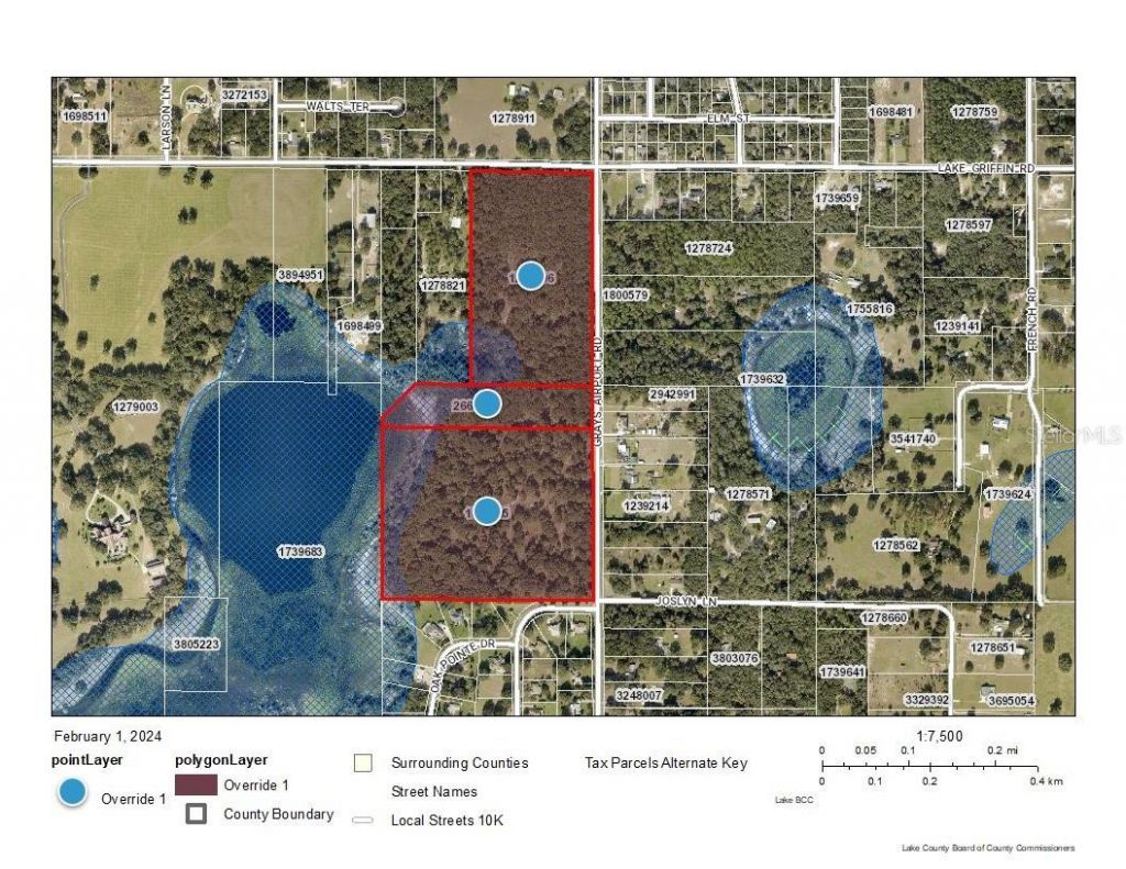 Grays Airport Road, Lady Lake, FL 32159 Photo