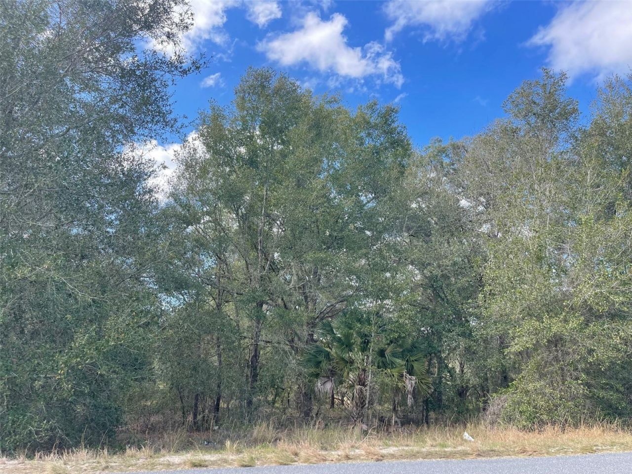 Grays Airport Road, Lady Lake, FL 32159 Photo