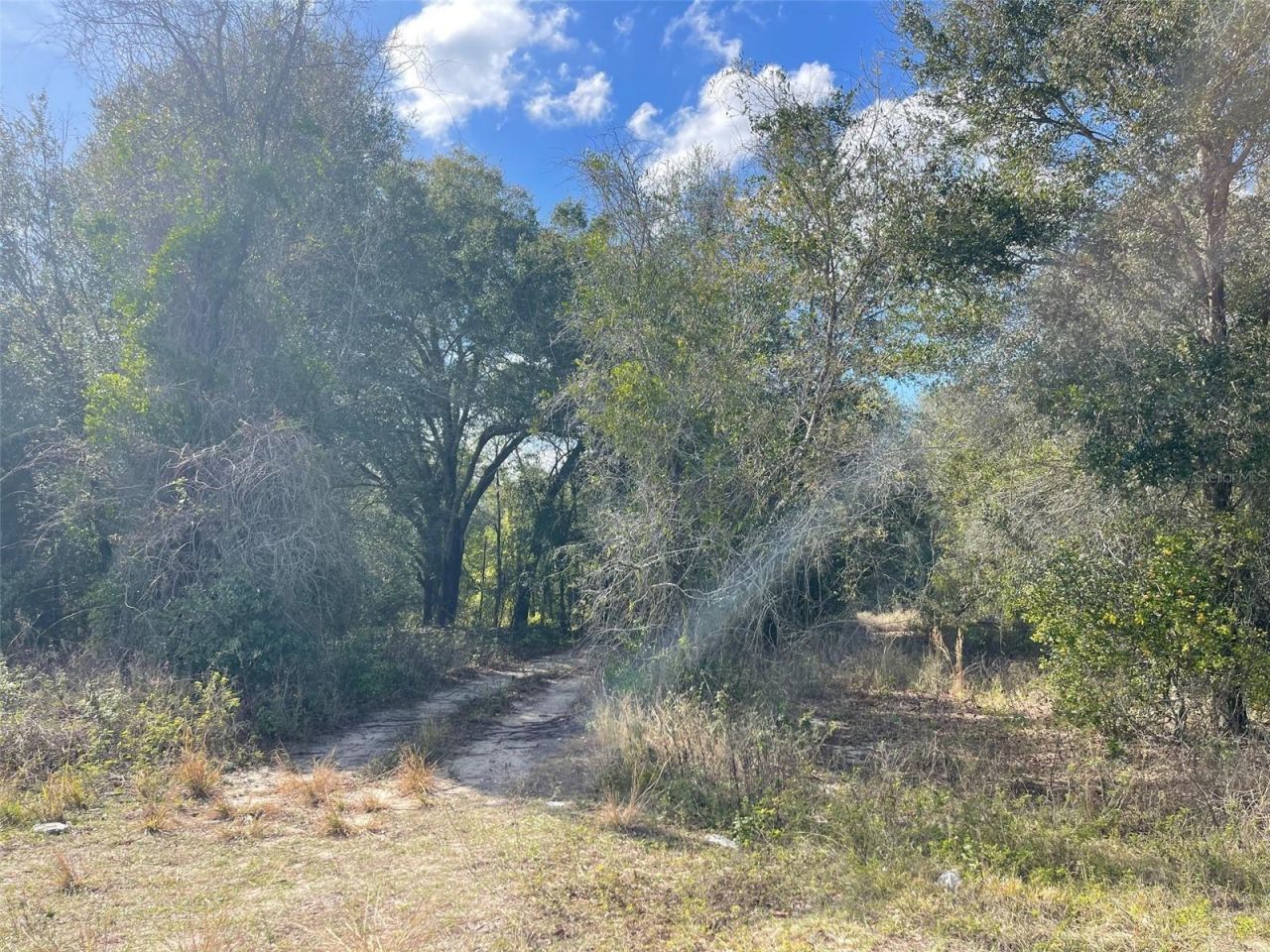 Grays Airport Road, Lady Lake, FL 32159 Photo