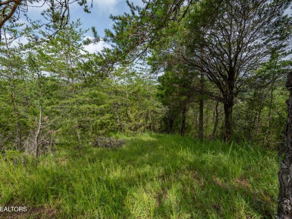 Lot 7 Parrotts Chapel Rd, Sevierville, TN 37876