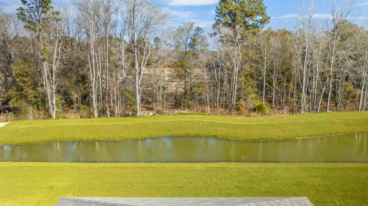 129 Mims Academy Drive Photo 23