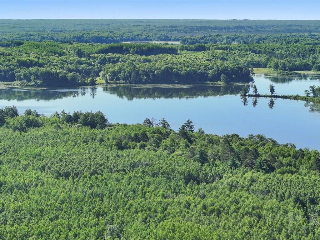 TBD State 84, Longville, MN 56655