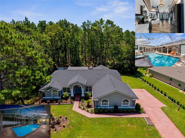 9 PLUMBAGO COURT, HOMOSASSA, FL 34446