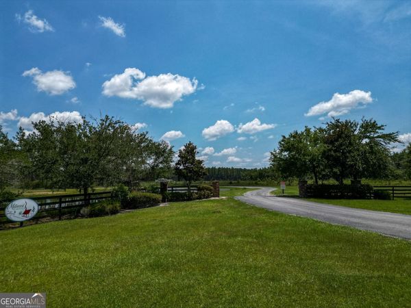 0 Grey Hawk Road, Millwood, GA 31552